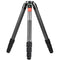 Sunwayfoto T4040CM+IB-65 Master Series Carbon Fiber Tripod and IB-65 Ball Head Ball Head