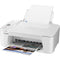 Canon PIXMA TS3720 Wireless All-in-One Printer (White)