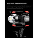 Falcon Eyes S200Bi Bi-Color LED Monolight