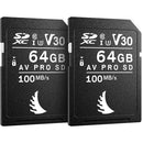 Angelbird 64GB AV Pro UHS-I SDXC Match Pack for FUJIFILM Cameras