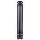 Falcam TreeRoot Carbon Fiber Quick Lock Travel Tripod