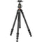 Vanguard VEO 5 264C Carbon Fiber Tripod with BH-160S Ball Head