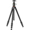 Vanguard VEO 5 304AB Aluminum Tripod with BH-250S Ball Head