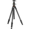 Vanguard VEO 5 304CB Carbon Fiber Tripod with BH-250S Ball Head