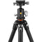 Vanguard VEO 5 264C Carbon Fiber Tripod with BH-160S Ball Head