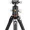 Vanguard VEO 5 304AB Aluminum Tripod with BH-250S Ball Head