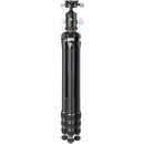 Vanguard VEO 5 304AB Aluminum Tripod with BH-250S Ball Head