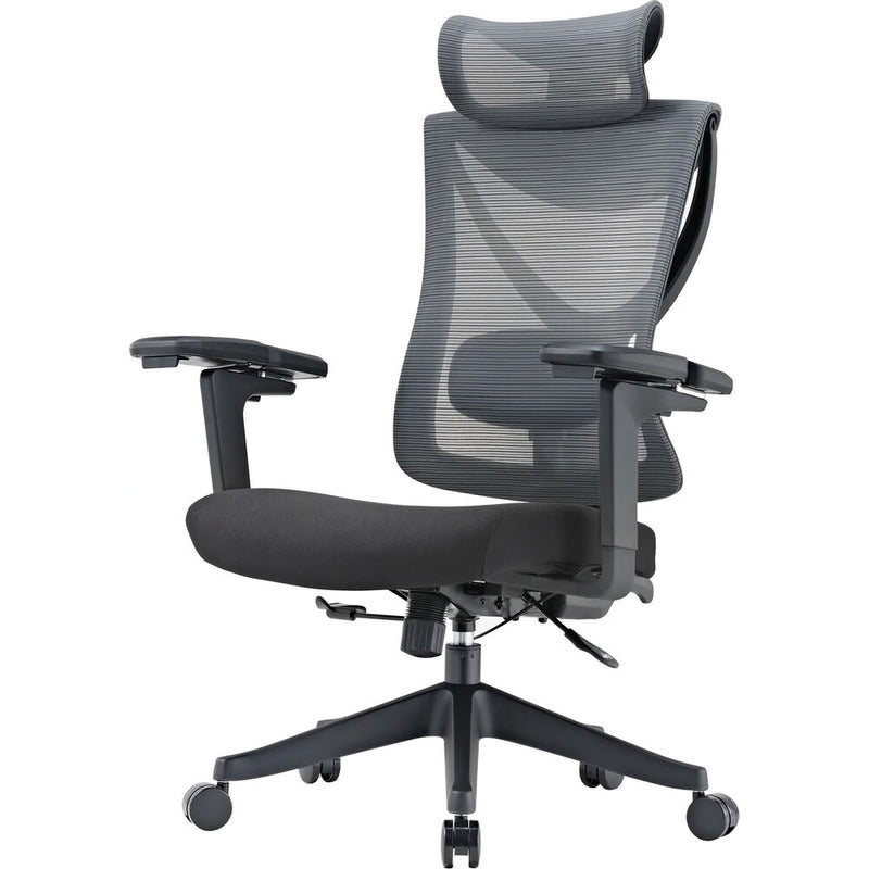 Eureka Aion Ergonomic Office Chair