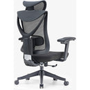 Eureka Aion Ergonomic Office Chair