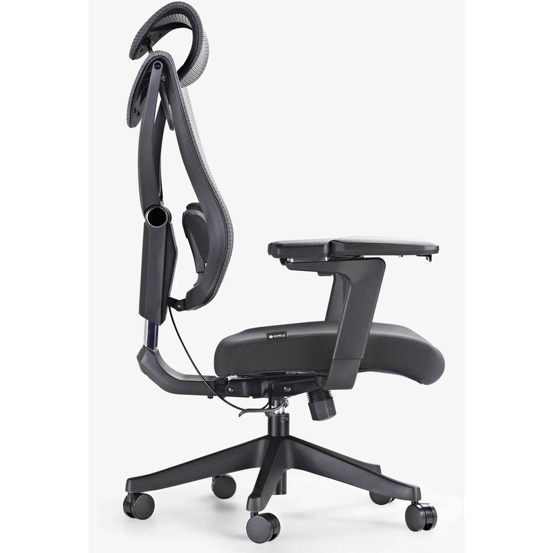 Eureka Aion Ergonomic Office Chair