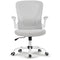 Eureka Onyx Series Ergonomic Office Chair (Gray)