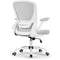 Eureka Onyx Series Ergonomic Office Chair (Gray)