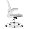 Eureka Onyx Series Ergonomic Office Chair (Gray)