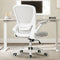 Eureka Onyx Series Ergonomic Office Chair (Gray)