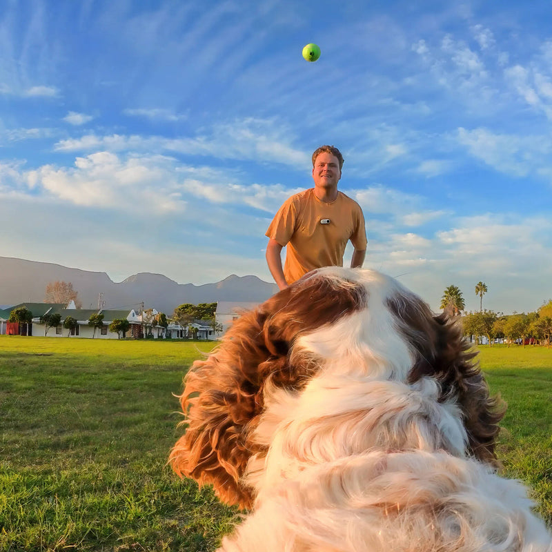 Insta360 Pet Harness Mount (Medium)