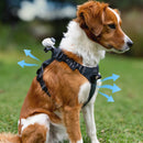 Insta360 Pet Harness Mount (Medium)