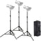 Godox Litemons LA300Bi Bi-Color LED Monolight (3-Light Kit)