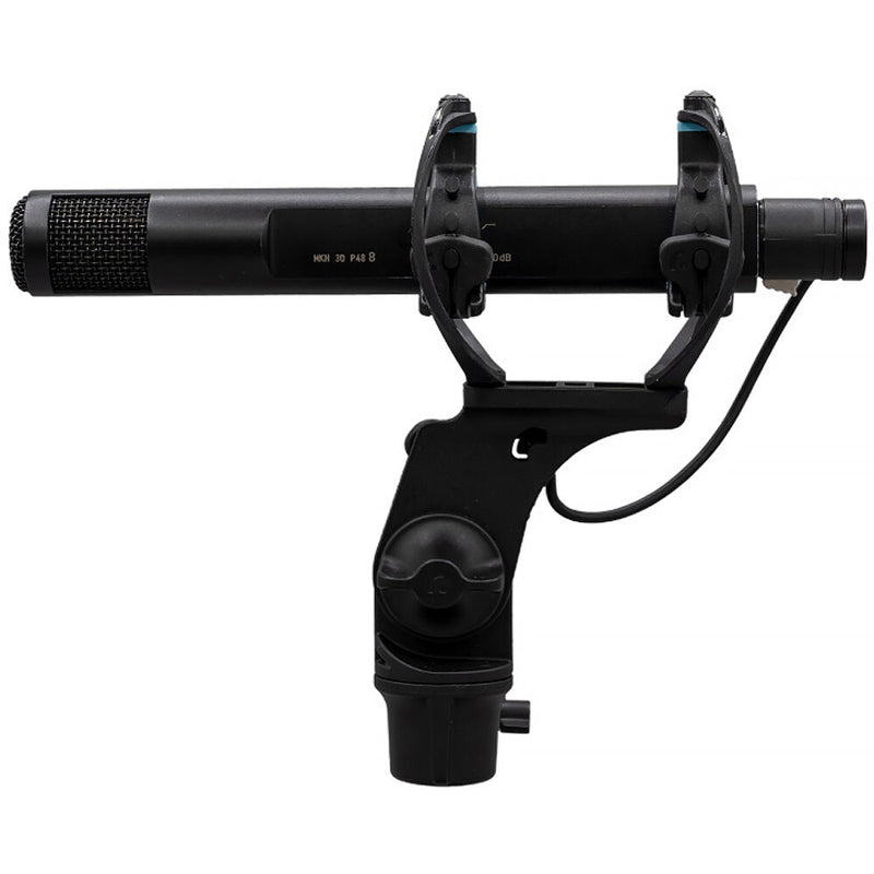 Radius RAD-2 Shockmount