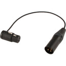 Radius RAD-1 Shockmount with Low-Profile 3-Pin XLR Cable