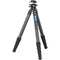 Leofoto LS-365CX Carbon Fiber Tripod with LH-40LR Ball Head