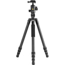 Vanguard Vesta GO 264CB Carbon Fiber Tripod with VEO BH-60 Ball Head