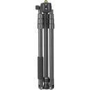 Vanguard Vesta GO 204CB Carbon Fiber Tripod with VEO BH-45 Ball Head