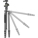 Vanguard Vesta GO 264CB Carbon Fiber Tripod with VEO BH-60 Ball Head