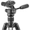 Vanguard Vesta GO 264CP Carbon Fiber Tripod with VEO PH-24 Pan Head