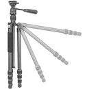 Vanguard Vesta GO 264CP Carbon Fiber Tripod with VEO PH-24 Pan Head