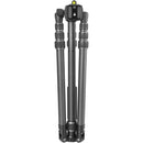 Vanguard Vesta GO 264CP Carbon Fiber Tripod with VEO PH-24 Pan Head