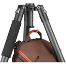 Vanguard Vesta GO 264CP Carbon Fiber Tripod with VEO PH-24 Pan Head