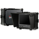 Desview 17.3" Director Monitor with Protector Case