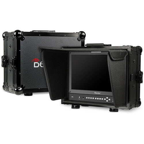 Desview 17.3" Director Monitor with Protector Case