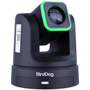 BirdDog X5 Ultra PTZ Camera with 20x Optical Zoom (Black)