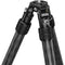 Leofoto Inverted Outdoors Series Carbon Fiber Tripod with Fixed Apex Platform (64.2")