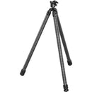 Leofoto SA-402CX Carbon Fiber Tripod with MA-40X Ballhead