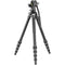 Vanguard Alta Pro 3VLT Aluminum Tripod with VEO PV-10 Video Head System