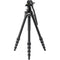 Vanguard Alta Pro 3VLT Aluminum Tripod with VEO PV-12 Video Head System