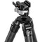 Leofoto SA-402CX Carbon Fiber Tripod with MA-40X Ballhead