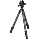 Leofoto SA-364CX Aluminum Tripod with MK-40X Ball Head