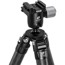 Leofoto SA-364CX Aluminum Tripod with MG-40X Ball Head