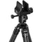 Leofoto SA-364CX Aluminum Tripod with MK-40X Ball Head