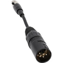 Pliant Technologies TA6F Mini XLR Female to 4-Pin XLR Male Adapter Cable