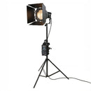 Nanlite Forza 300B II Bi-Color LED Monolight (Fresnel & Rolling Case Kit)