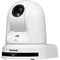 Panasonic UE30 4K30 HDMI PTZ Camera with 20x Optical Zoom (White)