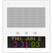 Advanced Network Devices InformaCast-Enabled HD IP Display with Built-In Speaker (Matte White)