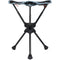 Grand Trunk Compass 360 Ultra-Compact Swivel Stool (15", Sea Black)