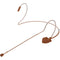 Airwave Technologies HSD-Slimclip System Dual-Ear Headset Microphone (Cocoa, Audio Technica cW)