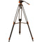 Geekoto DV3 Professional Video Tripod