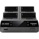 Accsoon TOPRIG 100W 4-Bay L-Series/NP-F Fast Charger